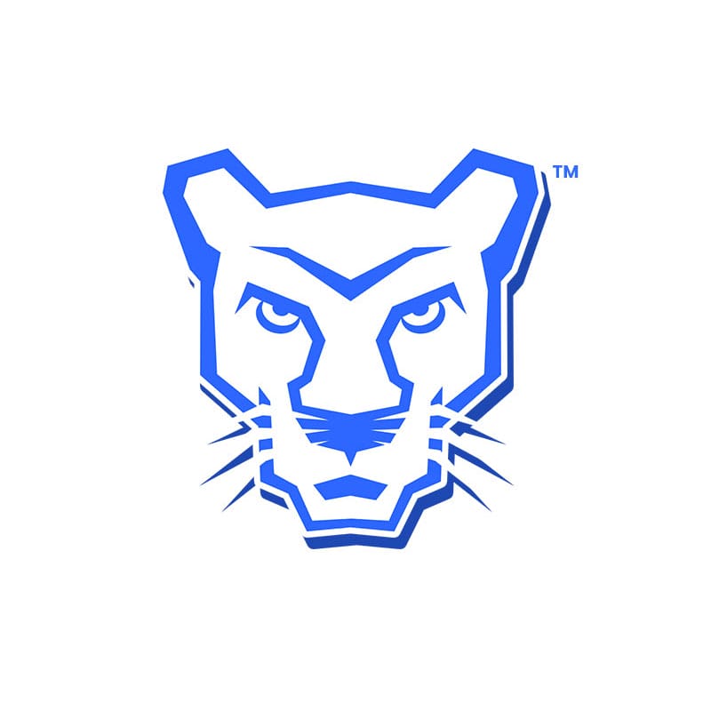 Cougar-logo-mockup